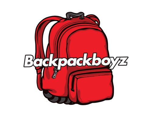 Backpack vape 2g (2000 hits)